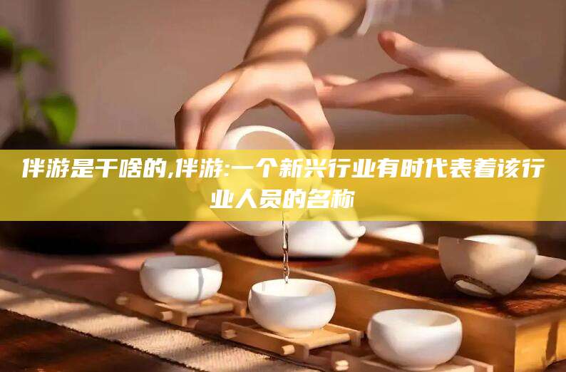榆林伴游是干啥的,伴游:一个新兴行业有时代表着该行业人员的名称