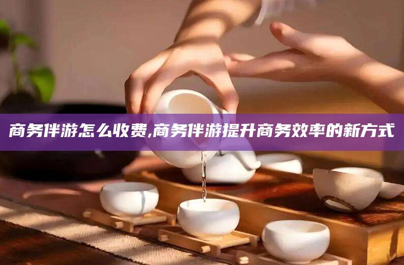 榆林商务伴游怎么收费,商务伴游提升商务效率的新方式
